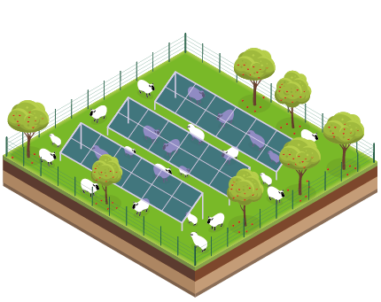 agrivoltaisme-explained_ovejas