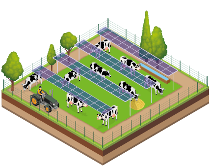 agrivoltaisme-explained_vacas Caractéristiques agrivoltaïsme