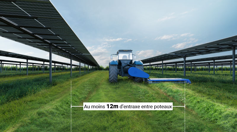 agrivoltaisme_solution_technique_01 Au moins 12m d’entraxe entre poteaux