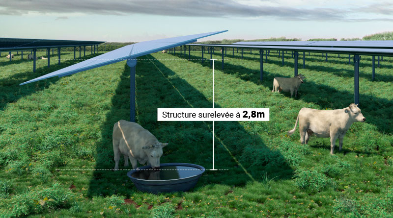 agrivoltaisme_solution_technique_02